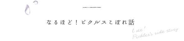 なるほど！ピクルスこぼれ話