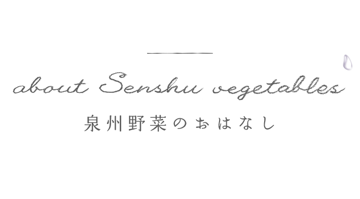 about Senshu vegetables 泉州野菜のおはなし